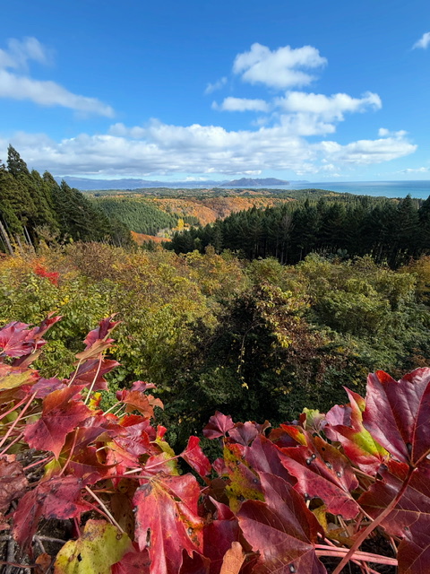 展望台からの景色